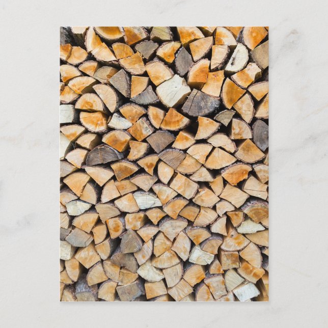 Pile of firewood as tree trunk postcard (Front)