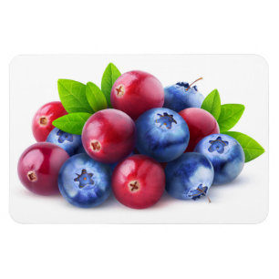 Pile of fresh berries magnet