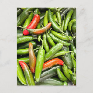 Pile Of Green Spicy Peppers Postcard