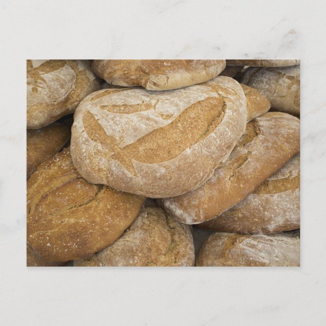 Pile of large bread loaves postcard (Front)