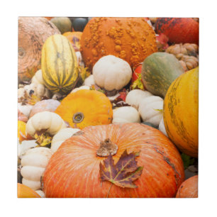 Pile Of Pumpkins And Squash Ceramic Tile