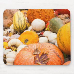 Pile Of Pumpkins And Squash Mouse Pad