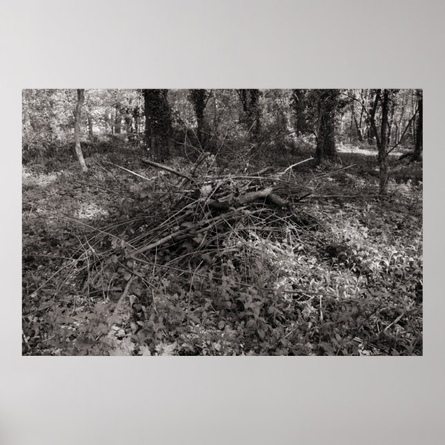 Pile of Sticks - Warm Toned Black and White Poster (Front)