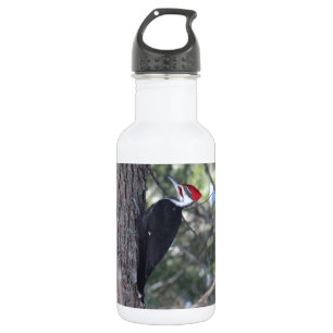 Pileated Woodpecker 532 Ml Water Bottle