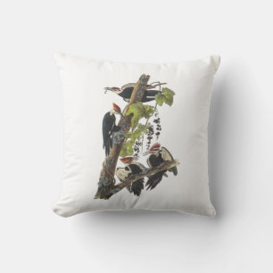 Pileated Woodpecker by Audubon Cushion
