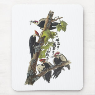 Pileated Woodpecker by Audubon Mouse Pad