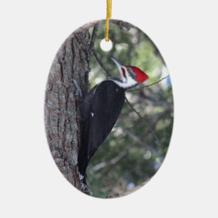 Pileated Woodpecker Ceramic Tree Decoration
