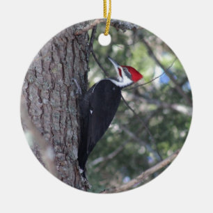 Pileated Woodpecker Ceramic Tree Decoration