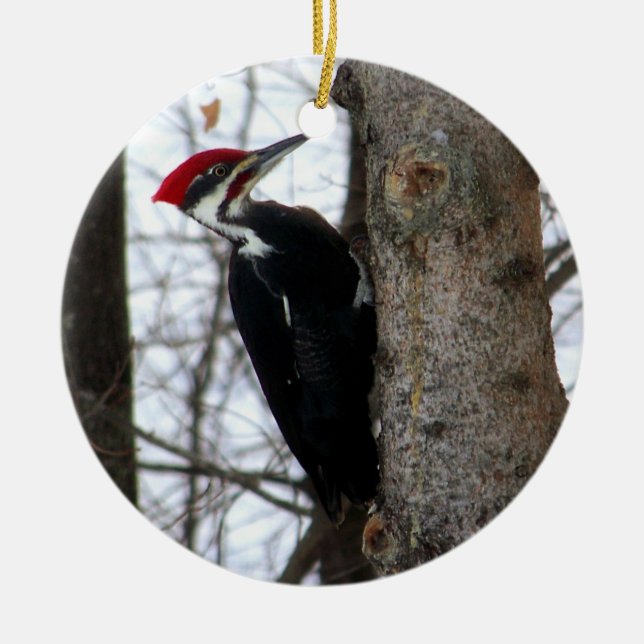 Pileated Woodpecker Ceramic Tree Decoration (Front)