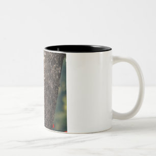 Pileated Woodpecker Coffee Mug
