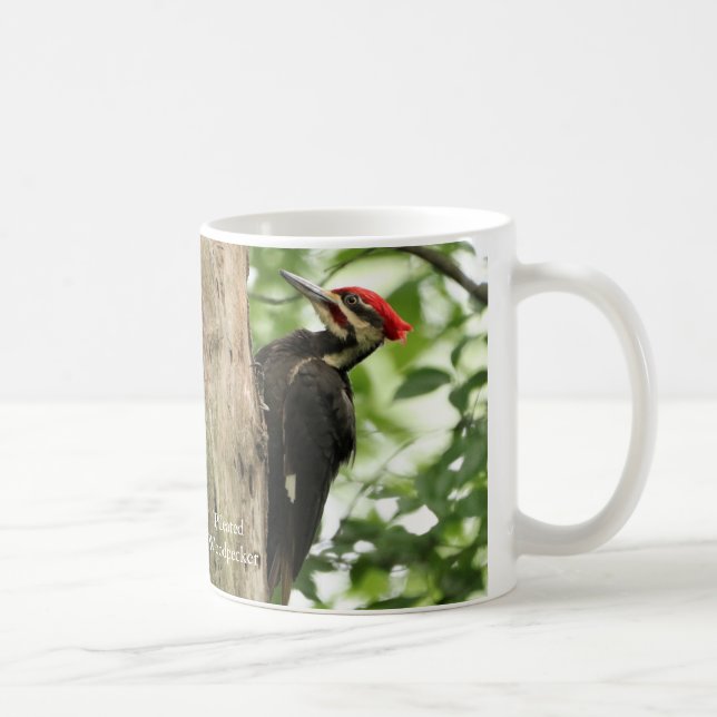 Pileated Woodpecker Coffee Mug (Right)
