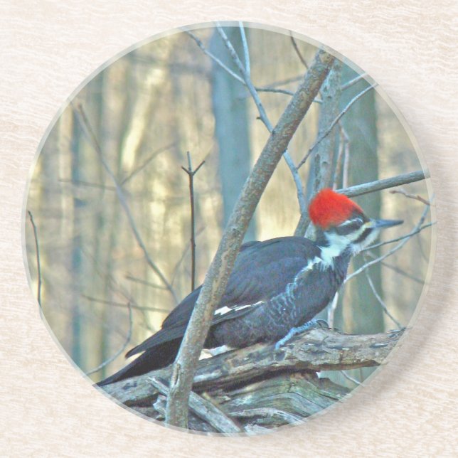 Pileated Woodpecker Coordinated Items Coaster (Front)