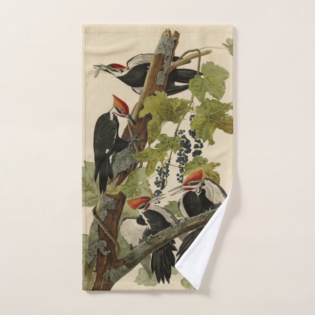 Pileated Woodpecker from Audubon Birds of America Bath Towel Set (Hand Towel)