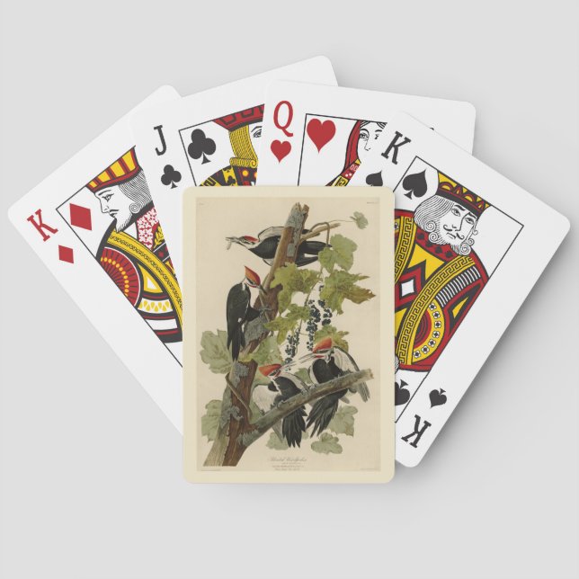 Pileated Woodpecker from Audubon Birds of America Playing Cards (Back)
