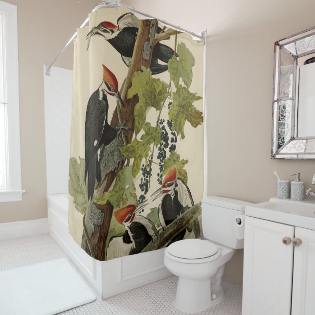 Pileated Woodpecker from Audubon Birds of America Shower Curtain (In Situ)