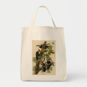 Pileated Woodpecker from Audubon Birds of America Tote Bag