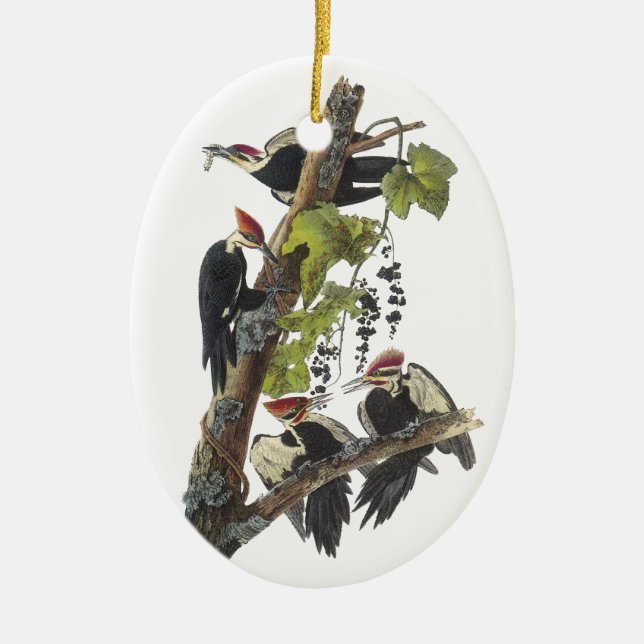Pileated Woodpecker, John Audubon Ceramic Tree Decoration (Front)