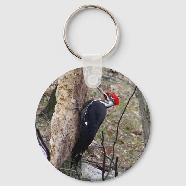 Pileated Woodpecker Key Ring (Front)