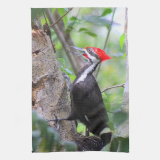 Pileated Woodpecker Kitchen Towel Dish Towel