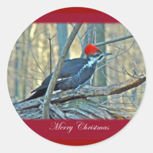 Pileated Woodpecker Merry Christmas Items Classic Round Sticker