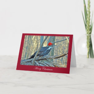 Pileated Woodpecker Merry Christmas Items Holiday Card