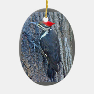 Pileated Woodpecker Merry Christmas Ornament