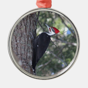 Pileated Woodpecker Metal Ornament