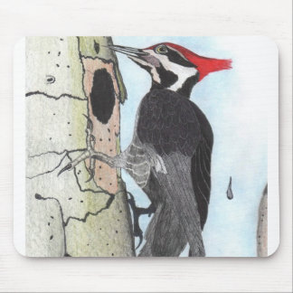 Pileated Woodpecker Mouse Pad