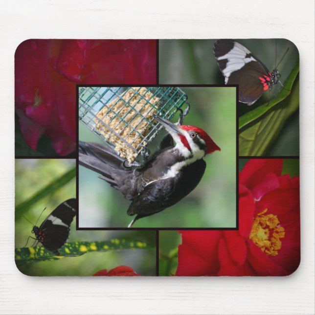 Pileated woodpecker mouse pad (Front)