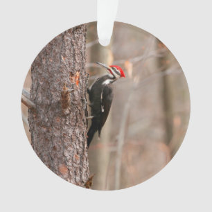 Pileated Woodpecker Ornament