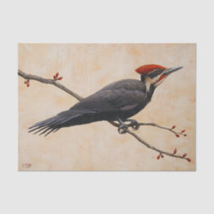 Pileated Woodpecker Perched on Tree Branch Tissue Paper