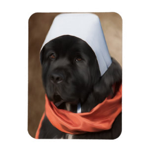 Pilgrim Dog Magnet