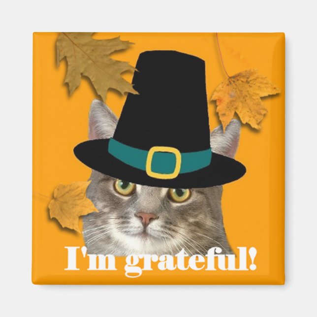 Pilgrim kitty magnet (Front)