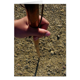 Pilgrim Staff and Hand Card