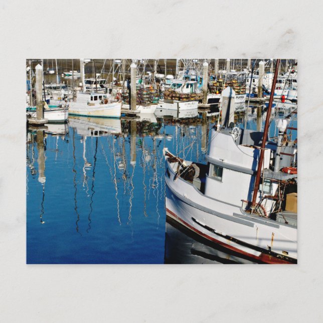 Pillar Point Harbour Postcard (Front)