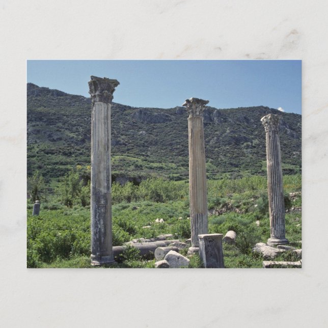 Pillars For The Sky Postcard (Front)