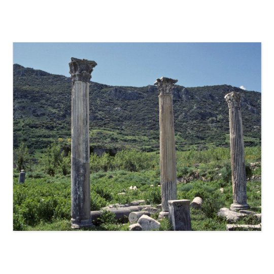 Pillars For The Sky Postcard