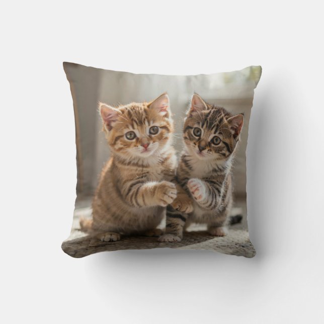 Pilloe Cushion (Front)