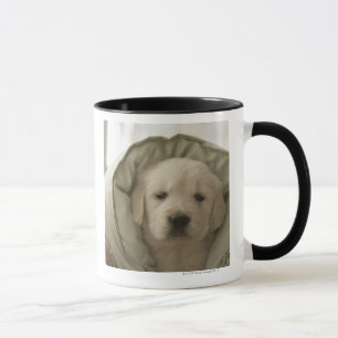 Pillow around dog mug