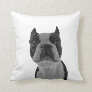 pillow boston terrior