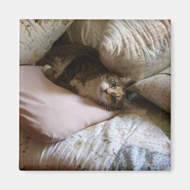 Pillow cat magnet (Front)