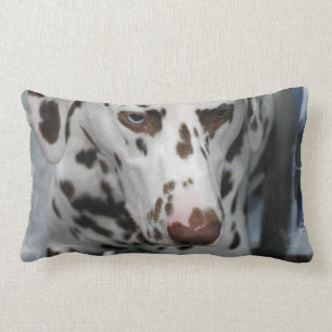 pillow - Customised