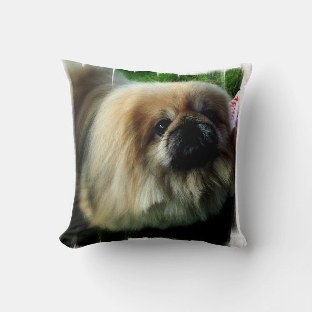 pillow - Customised (Front)