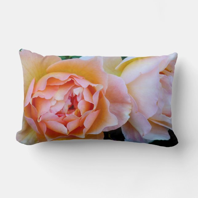 Pillow - Dahlias I (Front)