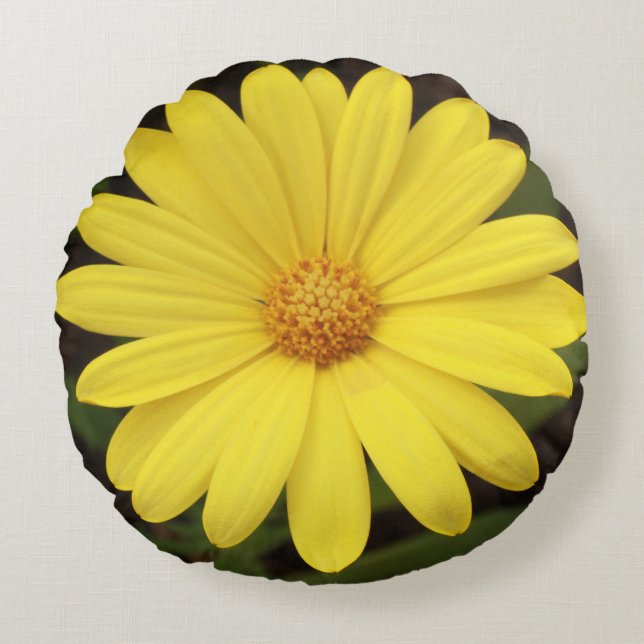 Pillow, daisy like flower in round shape round cushion (Front)
