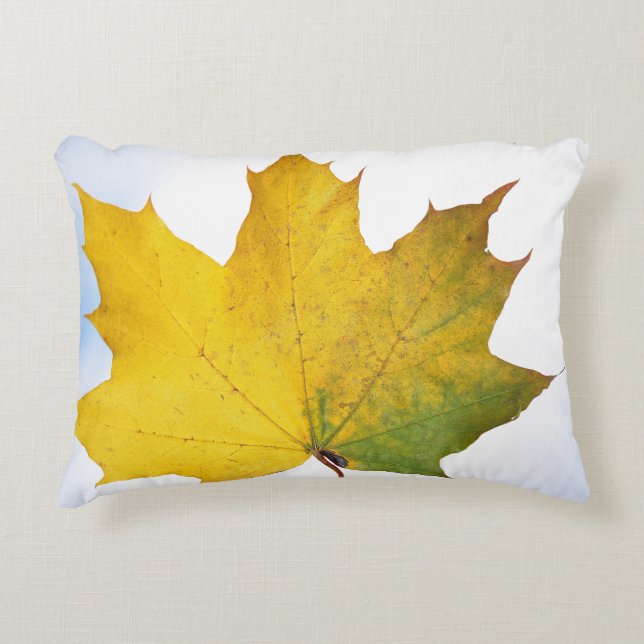 Pillow for every room (Front)