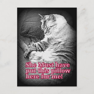 Pillow for me Postcard
