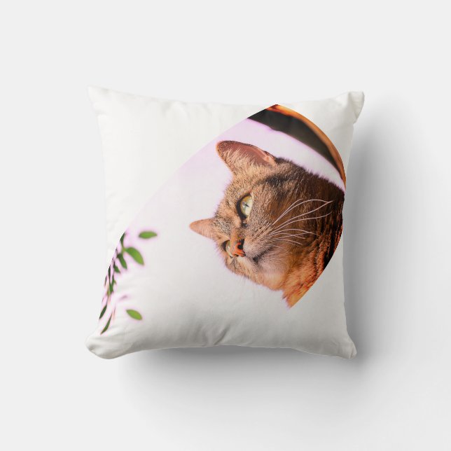 pillow for memory your cat (Front)