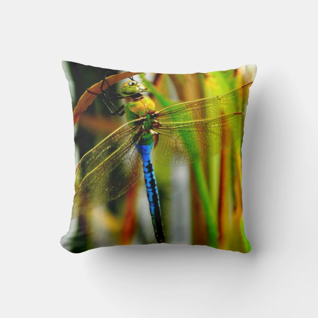 Pillow Green and teal blue dragonfly, green eyes (Front)