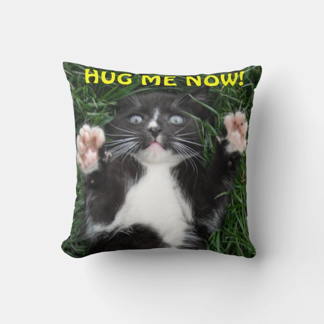 Pillow Hug Me Now! (Front)